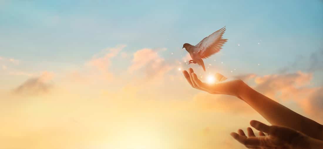 Bird flying from hands showing signs of positivity